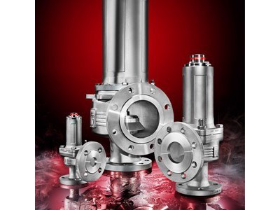 適用于工業領域的TüV/CE 工業認證角式安全閥圖片1