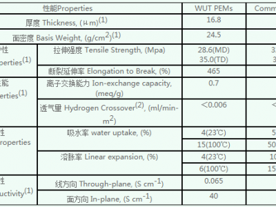 復(fù)合膜（Composite PEM）圖片1